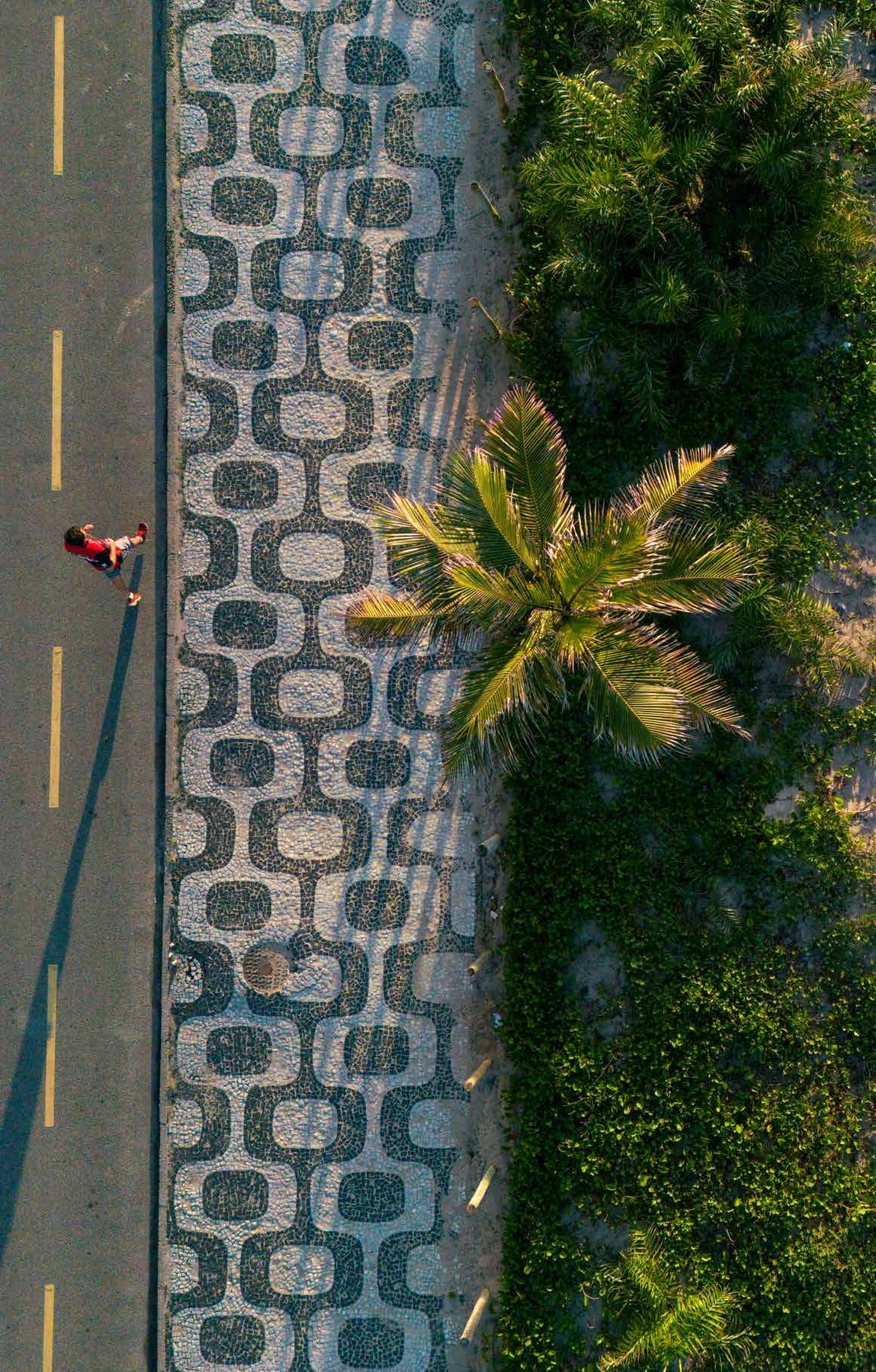 Lagoa Rodrigo de Freitas próxima à Rua Barão de Jaguaripe